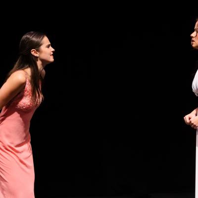 HATE MY SISTER: An actress in a wedding dress (right) and another in a bridesmaid dress (left) facing each other and arguing